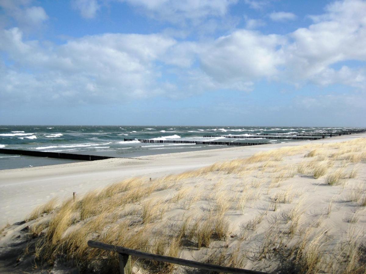 Residenz Am Strand Wohnung 1-17 ツィングシュト エクステリア 写真